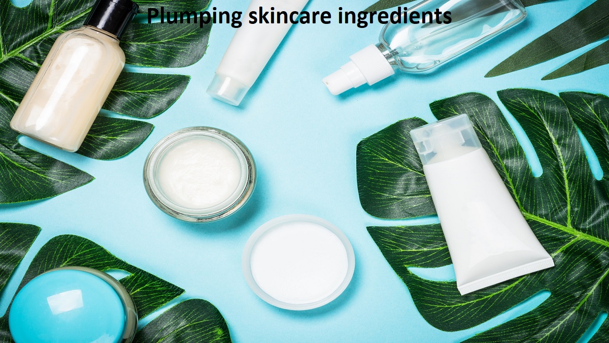 Plumping skincare ingredients